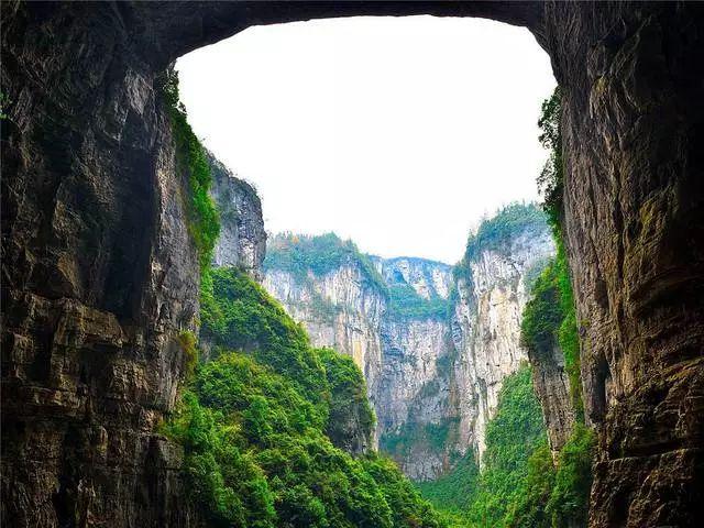 拯救精灵的土地8